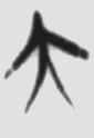 大同与小康 楚简原字